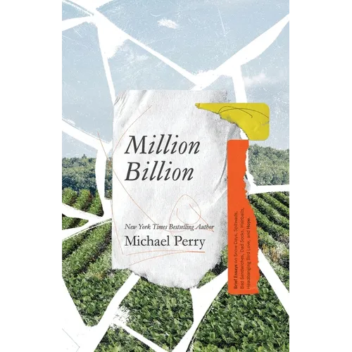 Million Billion: Brief Essays on Snow Days, Spitwads, Bad Sandwiches, Dad Socks, Hairballs, Headbanging Bird Love, and Hope.