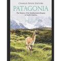 Patagonia: The History of the Southernmost Region in South America