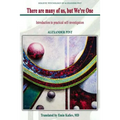 There Are Many of Us, But We're One: Introduction to Self-Investigation