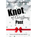 Knot of Christmas Past: A Cozy Workplace Why Choose Omegaverse Romance