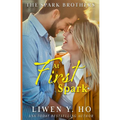 At First Spark: A Christian Contemporary Romance