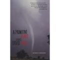 A Primitive Heart: Stories