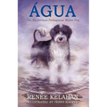 Agua, the Mysterious Portuguese Water Dog