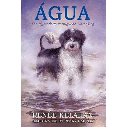 Agua, the Mysterious Portuguese Water Dog
