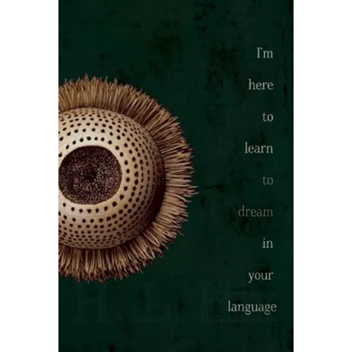 I'm Here to Learn to Dream in Your Language