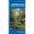Connecticut Trees & Wildflowers