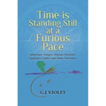 Time Is Standing Still at a Furious Pace: Aphorisms, Adages, Maxims, Proverbs, Epigrams, Litotes and Sheer Nonsense