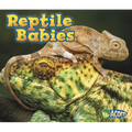 Reptile Babies