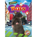 Rats