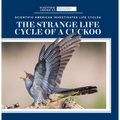 The Strange Life Cycle of a Cuckoo
