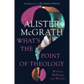 What's the Point of Theology?: Wisdom, Wellbeing and Wonder