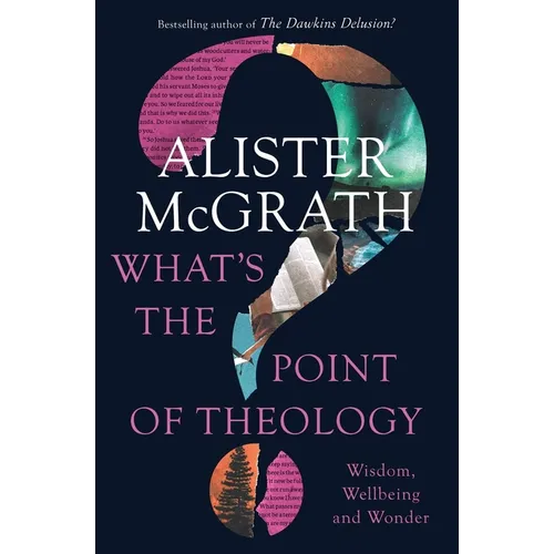 What's the Point of Theology?: Wisdom, Wellbeing and Wonder