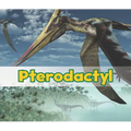 Pterodactyl