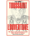 Toussaint Louverture: The Story of the Only Successful Slave Revolt in History