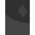 Biblia de Estudio Vida Plena - Ampliada Y Actualizada (Imitación Piel Negro) / Full Life Study Bible - Expanded and Updated (Black Leatherette)