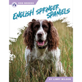 English Springer Spaniels