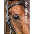 Right Track: Arena Exercises for Riders and Instructors
