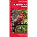 Kentucky Birds: A Folding Pocket Guide to Familiar Species