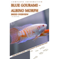 Blue Gourami - Albino Morph: From Novice to Expert. Comprehensive Aquarium Fish Guide