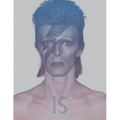David Bowie Is