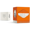 Estuche Penguin Clásicos Vintage (Edición Icónica) / Vintage Penguin Classics Box Set