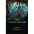 Feeding the Wild Rabbit