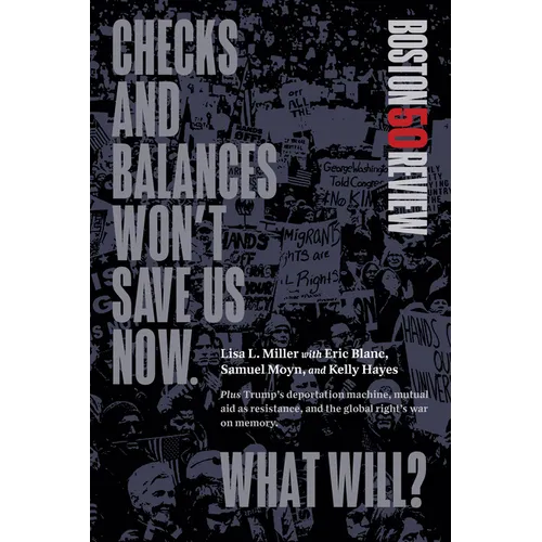 Checks and Balances Won't Save Us Now. What Will?