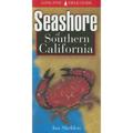 Seashore of Southern California