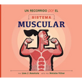 Un Recorrido Por El Sistema Muscular