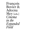 Cinema in the Expanded Field
