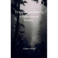 Transfigurations