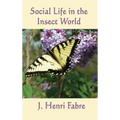 Social Life in the Insect World