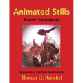 Animated Stills: Poetic Pareidolia