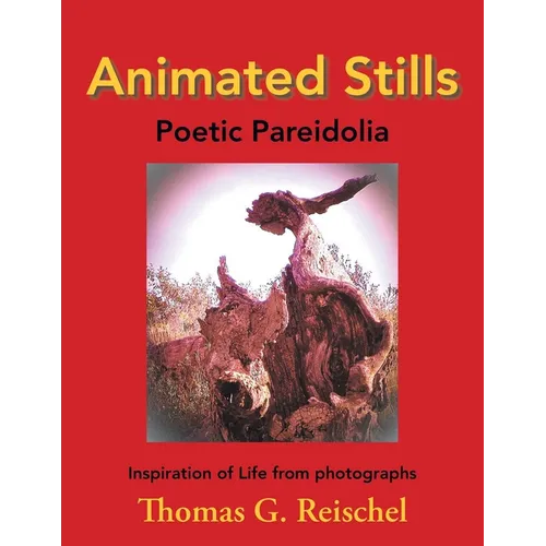 Animated Stills: Poetic Pareidolia