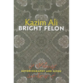 Bright Felon: Autobiography and Cities