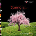 Spring is...: A Joyful Exploration of Spring Through Rhythm, Repetition, and Inclusive Design