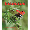 Insectos: Un Libro de Comparaciones Y Contrastes: Insects: A Compare and Contrast Book