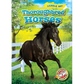Thoroughbred Horses