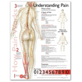 Understanding Pain Anatomical Chart