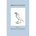 Birds in Flight