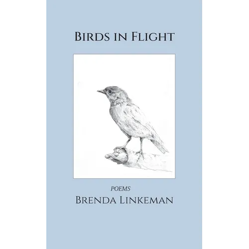 Birds in Flight