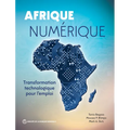 Afrique numérique: Transformation technologique pour l'emploi