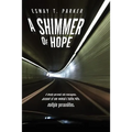 A Shimmer of Hope