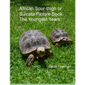 African Spur-thigh or Sulcata Picture Book - The Youngest Years