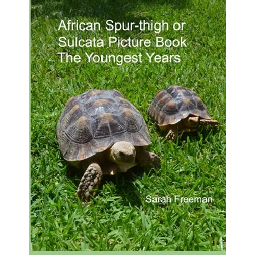 African Spur-thigh or Sulcata Picture Book - The Youngest Years