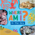 In the Sea