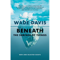 Beneath the Surface of Things: New and Selected Essays
