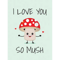 I Love You So Mush: Punderful Ways to Say I Love You