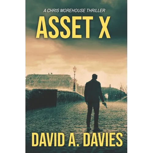 Asset X