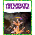 The World's Smallest Fish